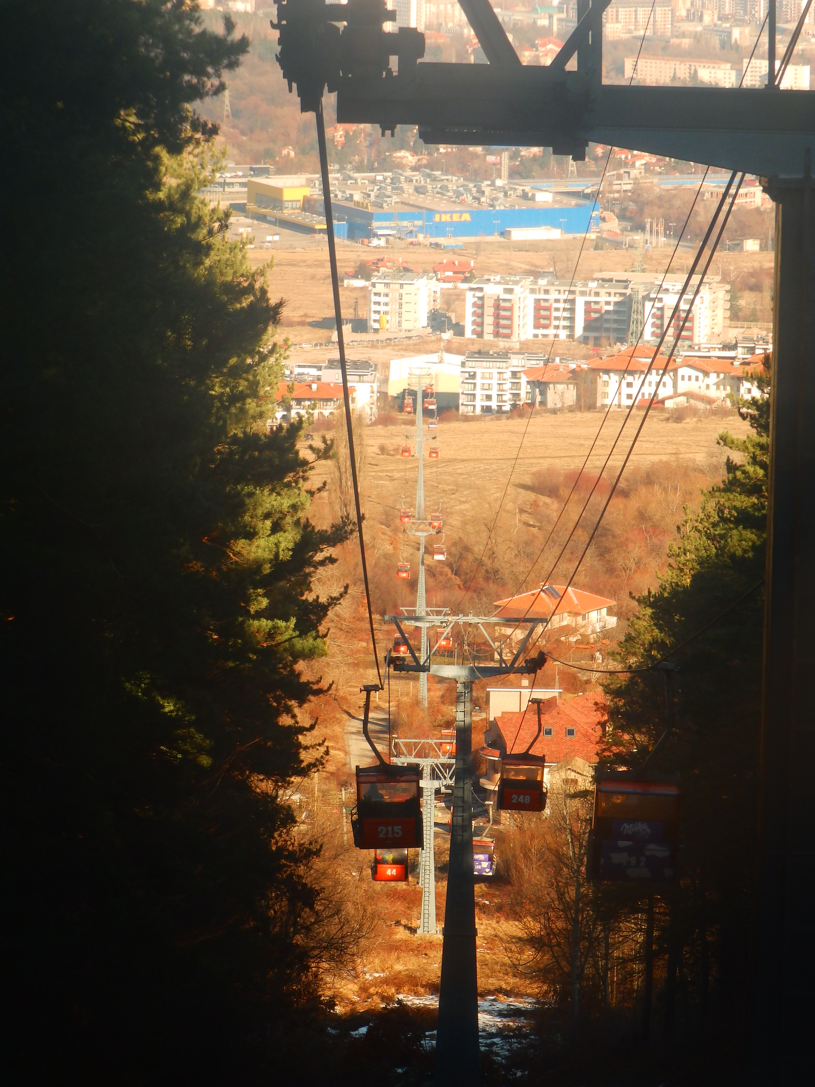 OLYMPUS DIGITAL CAMERA