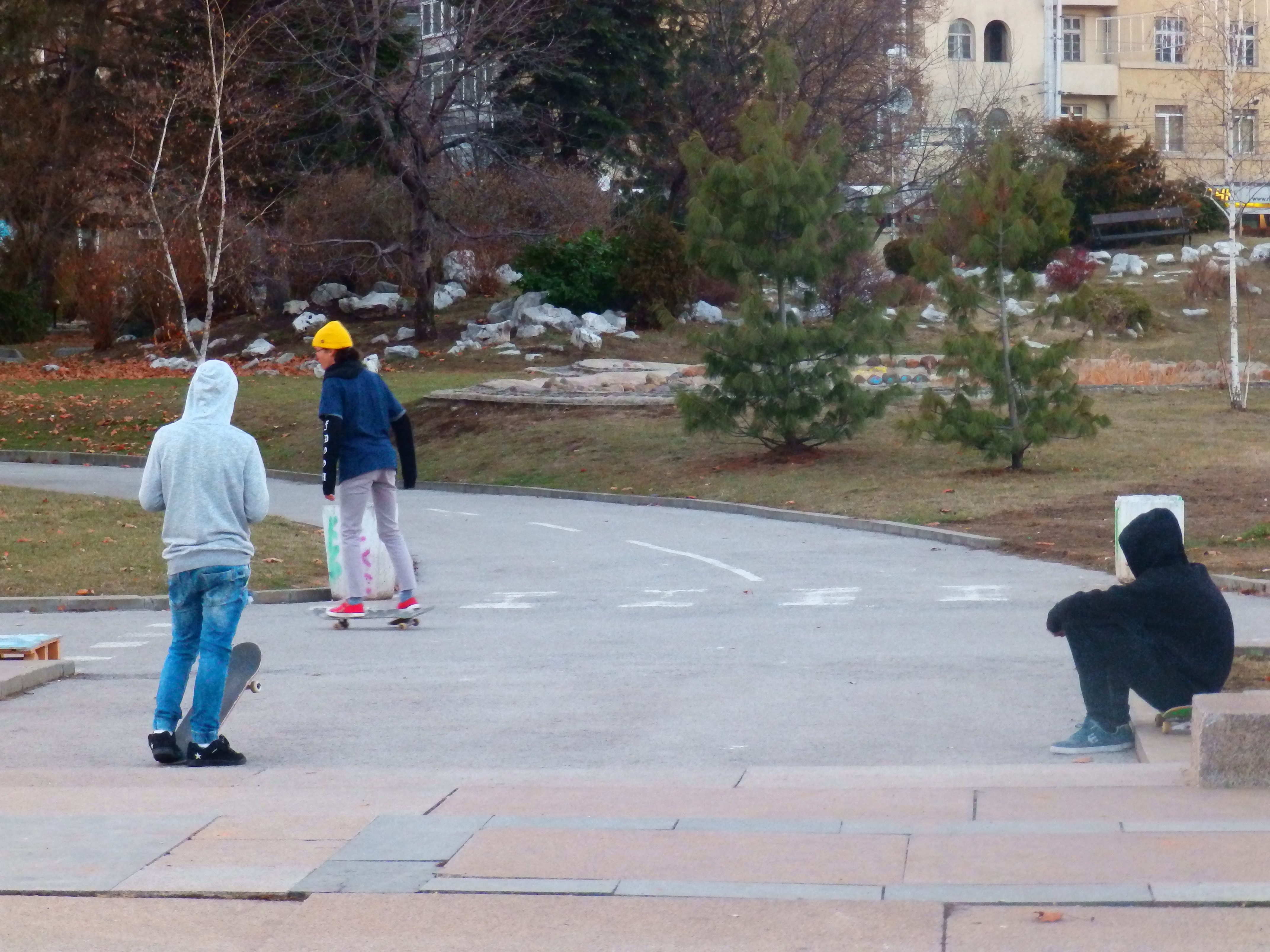 OLYMPUS DIGITAL CAMERA