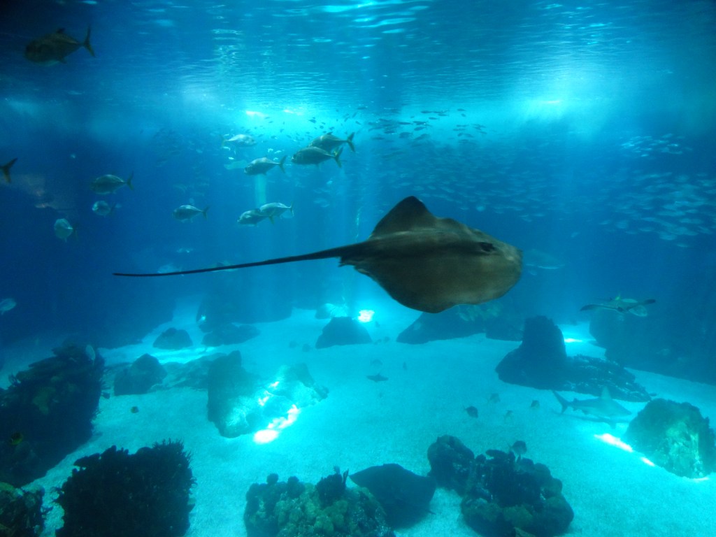 This image has an empty alt attribute; its file name is dsc00256.jpg