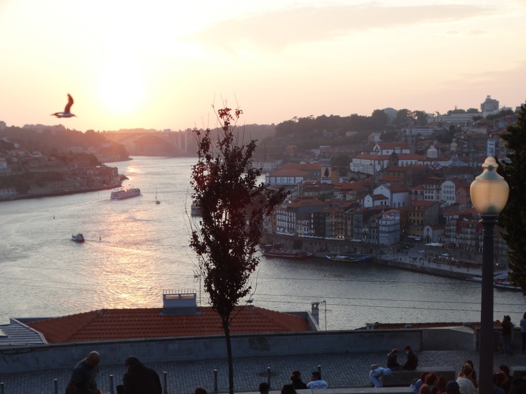 This image has an empty alt attribute; its file name is dsc00544-1.jpg