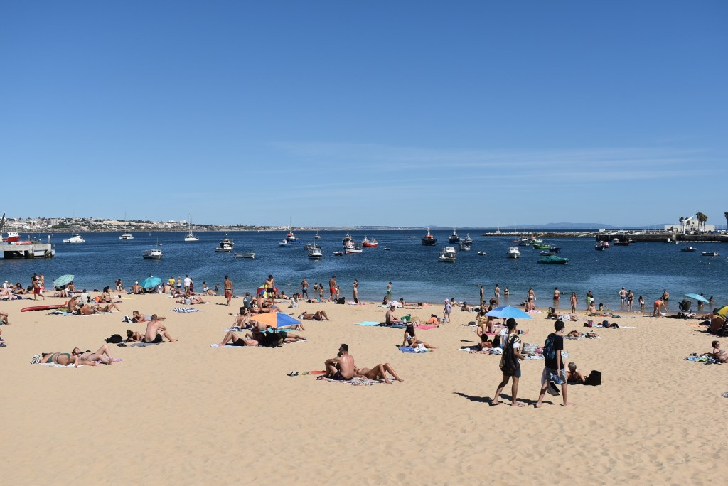 This image has an empty alt attribute; its file name is dsc_0335.jpg