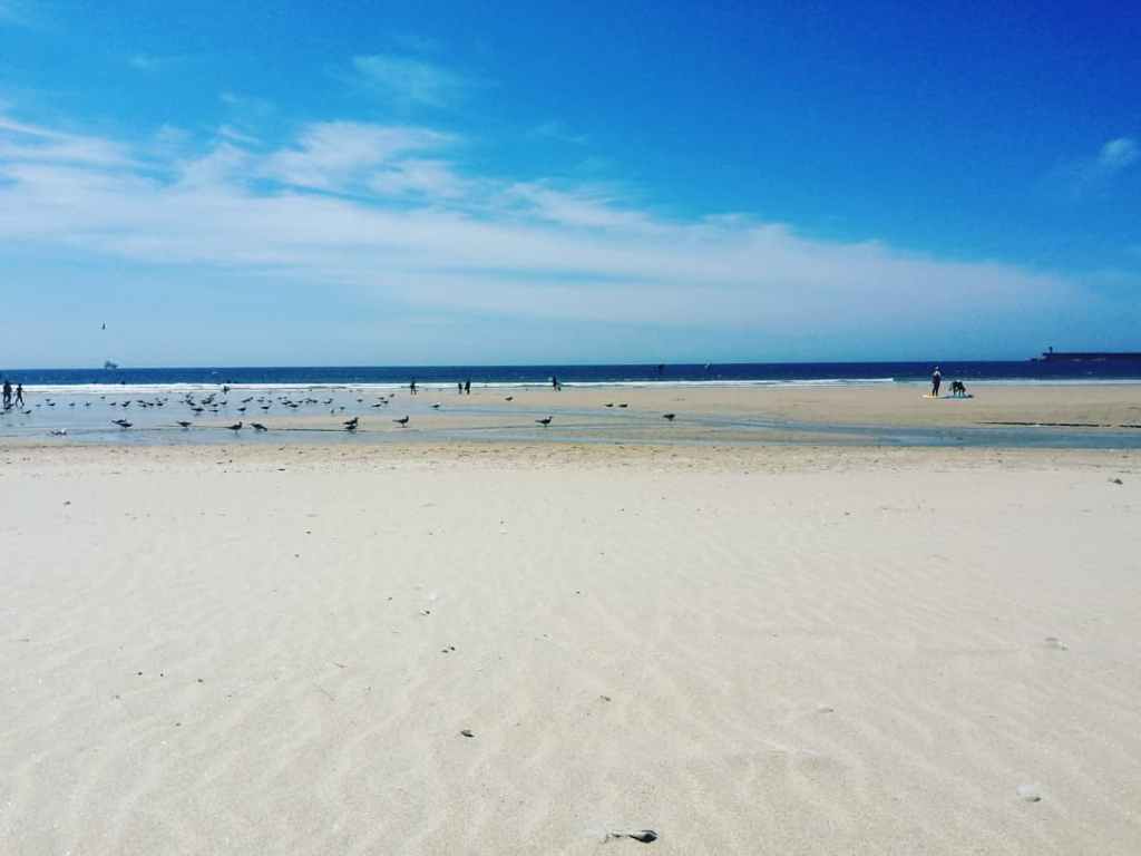 This image has an empty alt attribute; its file name is img_20210731_144351_762-1.jpg